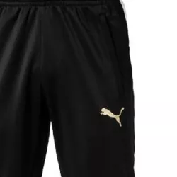 Pantalon d'entraînement Puma Newcastle