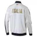 Veste d'entraînement Puma FIGC Italia Stadium - 749589-04