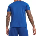 Tee-shirt Puma OM TRAINING JERSEY