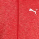 Sweat à capuche Puma EVOSTRIPE FULL-ZIP