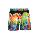 Short de Bain EA7 Emporio Armani (Multicolore)