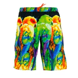 Bermuda EA7 Emporio Armani (Multicolore)