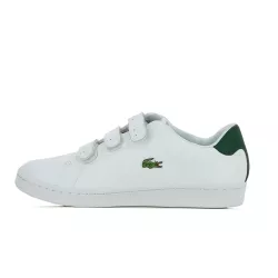 Basket Lacoste Camden Evo  - 731SPM2229082