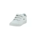 Basket Lacoste Camden Evo  - 731SPM2229082