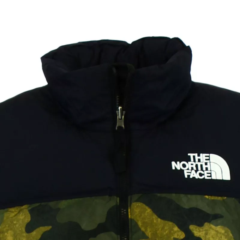 Blousons The North Face RTRO NPSE