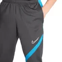 Pantalon de survêtement Nike Academy Pro