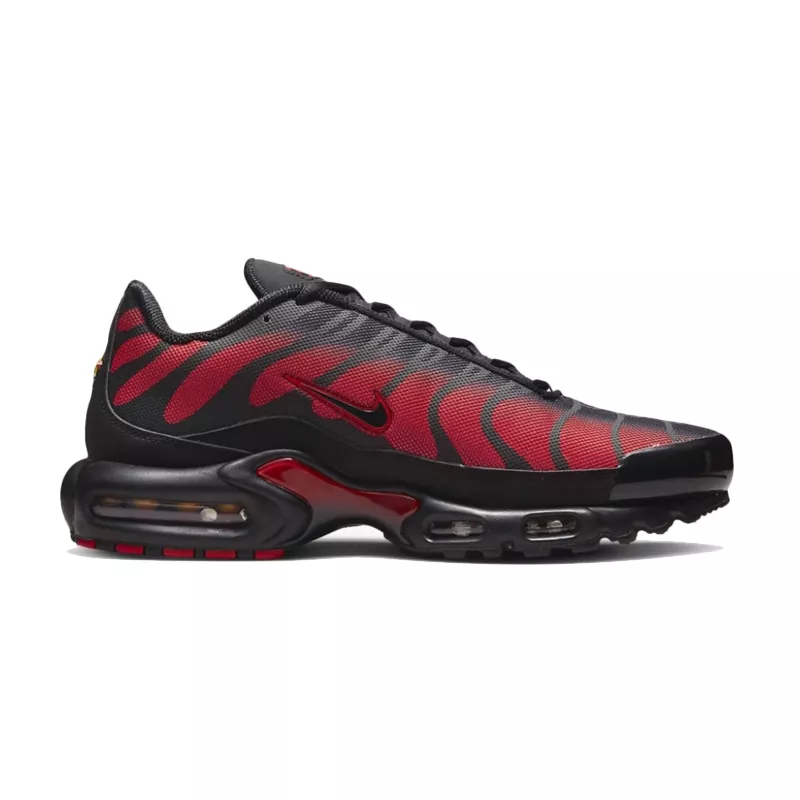 Pegashoes Basket Nike Air Max Plus