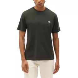 Tee-shirt Dickies MAPLETON