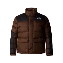 Doudounes The North Face WOMENS PLUS LIMBARA