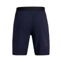 Under Armour UA VANISH WOVEN 8in Shorts