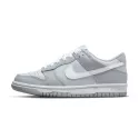 Basket Nike DUNK LO GS