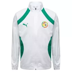 Vestes de survêtement Puma VESTE FSF Prematch Wvn