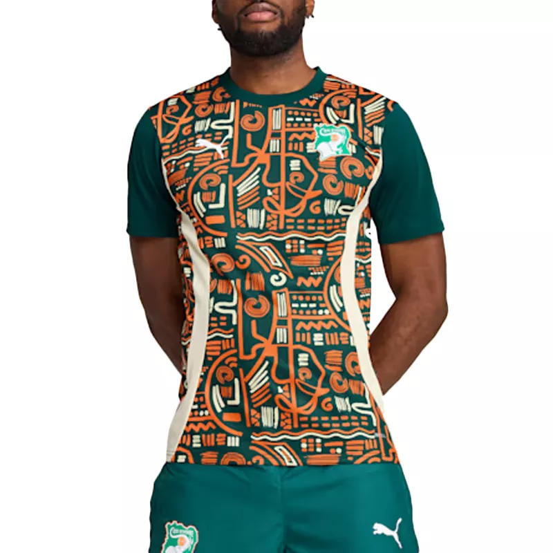 Tee-shirt Puma FIF Prematch SS