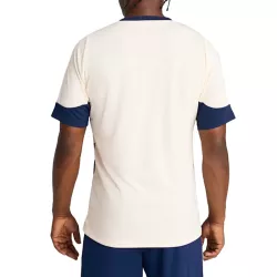 Tee-shirt Puma FPF Training Jersey