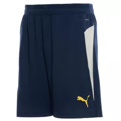 Shorts, bermudas Puma FPF Training Shorts