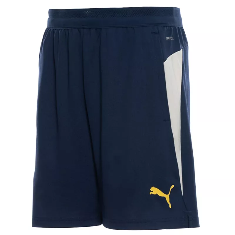 Shorts, bermudas Puma FPF Training Shorts