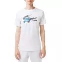 Tee-shirt Lacoste