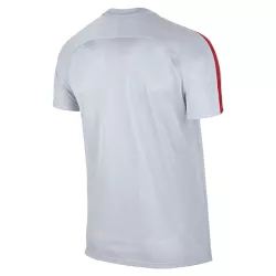 Maillot de football Nike PSG Stadium - 809736-013