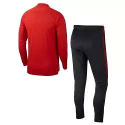 Ensemble de survêtement Nike PSG M NK DRY SQD TRK SUIT W - Ref. AQ0964-657