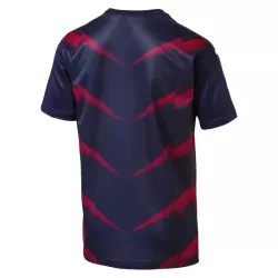 Maillot d'entraînement Puma Arsenal FC 2016/2017