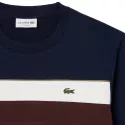 Sweatshirt Lacoste
