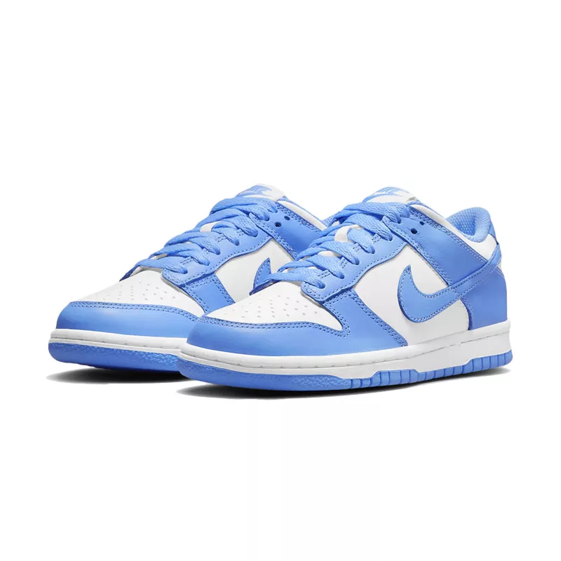 Basket Nike DUNK LO GS