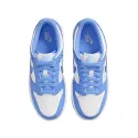 Basket Nike DUNK LO GS