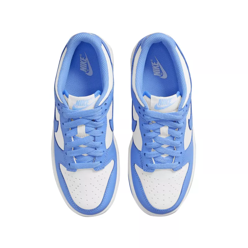 Basket Nike DUNK LO GS