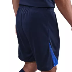Short Nike PSG DRI-FIT STRIKE