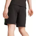 Short Puma MAPF1