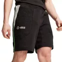 Short Puma MAPF1