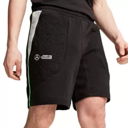 Short Puma MAPF1