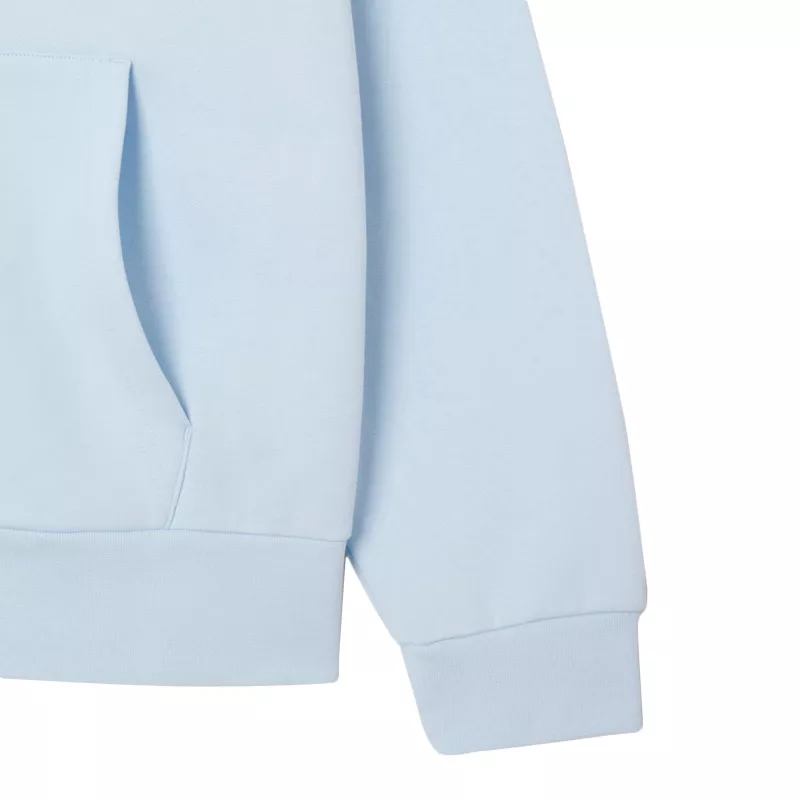 Sweat à capuche Lacoste
