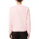 Sweat Lacoste