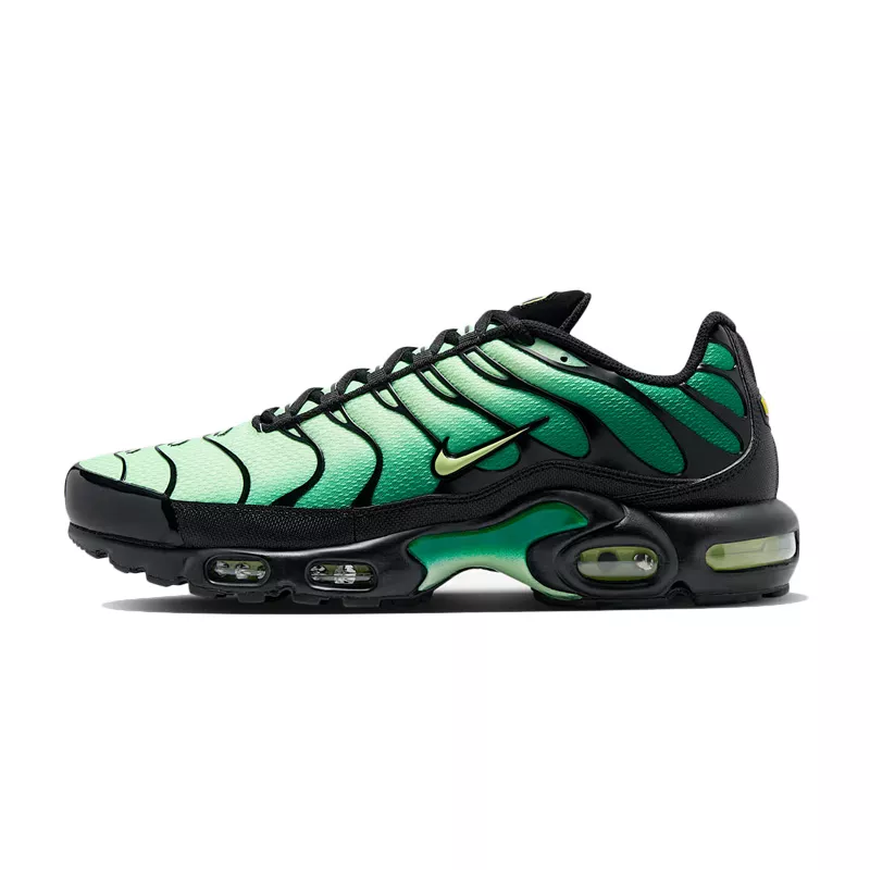 Baskets Nike AIR MAX PLUS