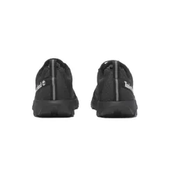 Basket Timberland WINSOR TRAIL LOW