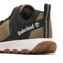Basket Timberland WINSOR TRAIL LOW