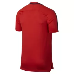 Nike Maillot d'entraînement Nike PSG Breathe Squad - 854607-676