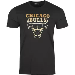 New Era Tee-shirt New Era Chicago Bulls Graphique - 11530771