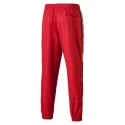 Pantalons de survÃªtement Puma FD PUMA XTG WV PT