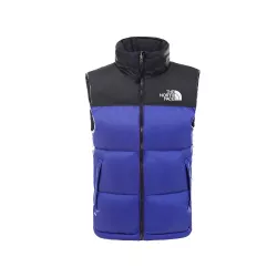Blousons The North Face RTRO NPSE