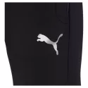 Pantalons de survêtement Puma FD EVOST PANT