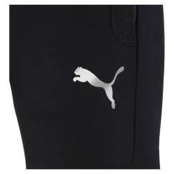 Pantalons de survêtement Puma FD EVOST PANT
