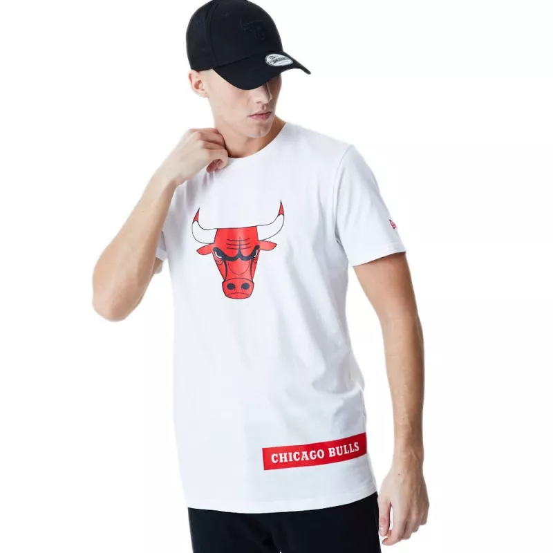 Tee-shirt New Era NBA BLOCK WORKMARK CHIBUL