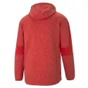 Sweat à capuche Puma EVOSTRIPE FULL-ZIP