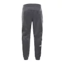 Pantalon de survêtement The North Face SURGENT