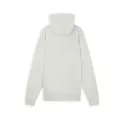 Sweat Puma FD PAISLEY HOODY