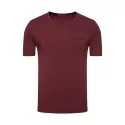 Lot de 2 Tee-shirt EA7 Emporio Armani