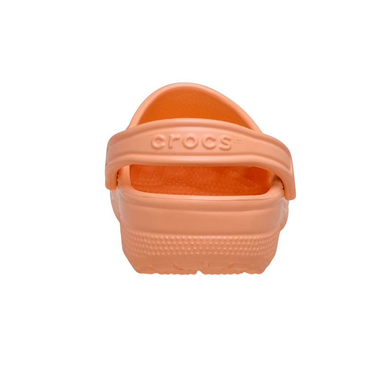 Sabot Femme Crocs CLASSIC
