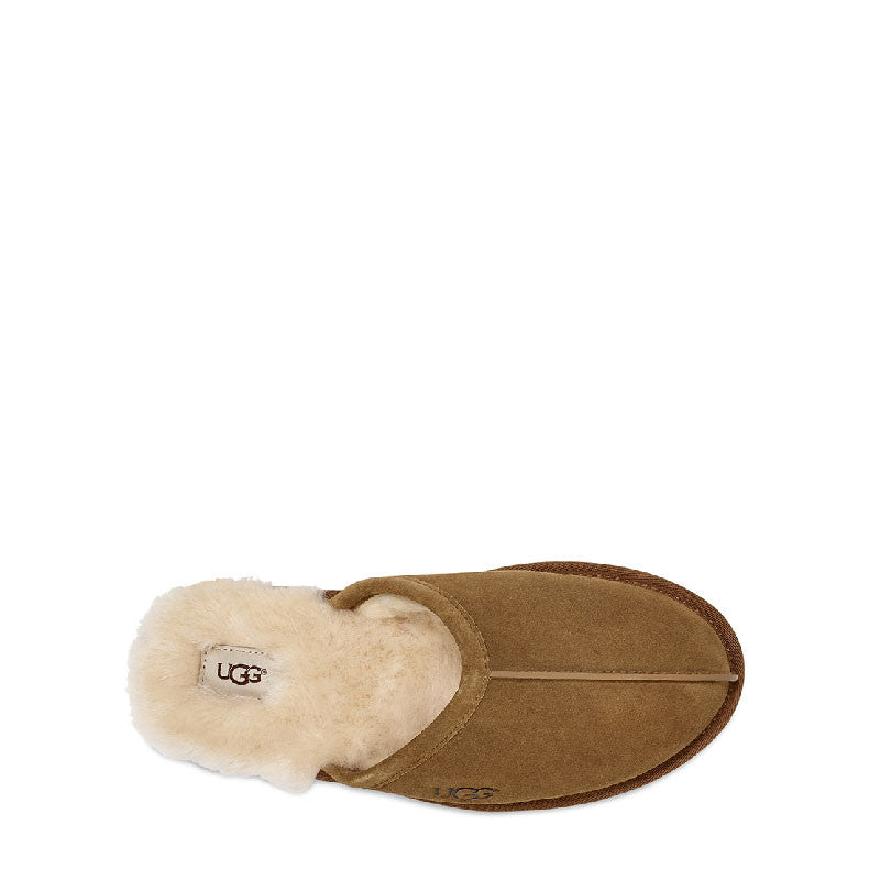 Chausson UGG Scuff